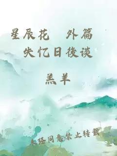 星辰花　外篇　失忆日後谈