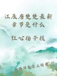 江辰唐楚楚最新章节是什么