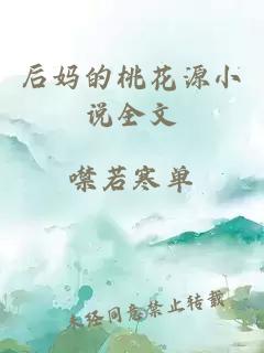 后妈的桃花源小说全文