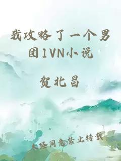 我攻略了一个男团1VN小说