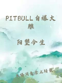 PITBULL自爆大雕