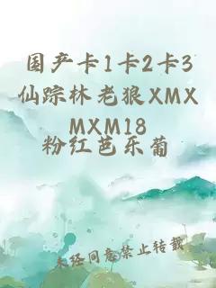 国产卡1卡2卡3仙踪林老狼XMXMXM18