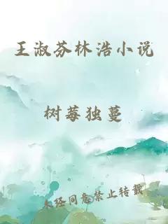 王淑芬林浩小说