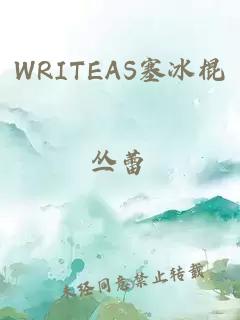 WRITEAS塞冰棍