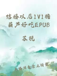 结婚以后1V1糖葫芦好吃EPUB