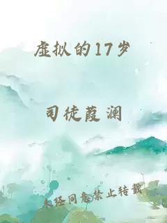 虚拟的17岁