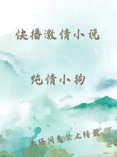 快播激情小说