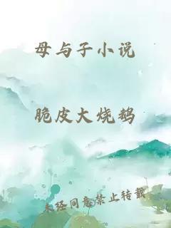 母与子小说