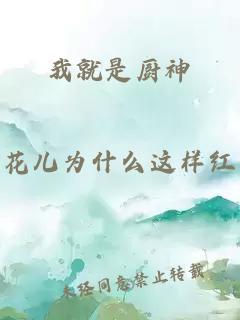 我就是厨神