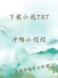 下载小说TXT