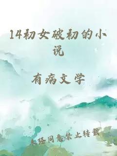 14初女破初的小说