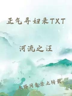 正气寻妇录TXT