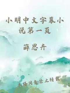 小明中文字幕小说第一页