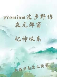 premium波多野结衣无弹窗