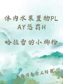 体内水果置物PLAY惩罚H