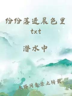 纷纷落进晨色里txt