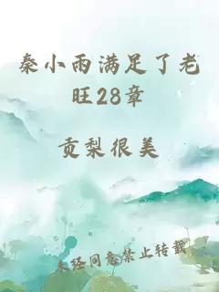 秦小雨满足了老旺28章