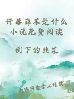 许莓薛芩是什么小说免费阅读