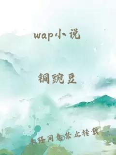 wap小说