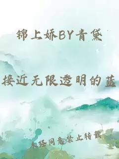 锦上娇BY青黛