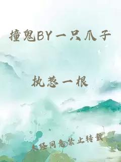 撞鬼BY一只爪子