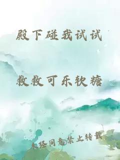 殿下碰我试试