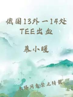 俄国13外一14处TEE出血