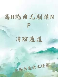 高H纯肉无剧情NP