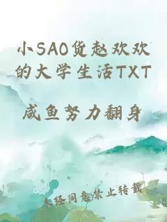 小SAO货赵欢欢的大学生活TXT