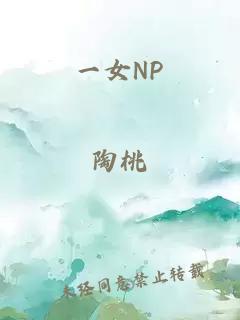 一女NP