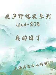 波多野结衣系列cjod_208