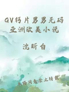 GV钙片男男无码亚洲欧美小说