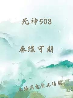 死神508