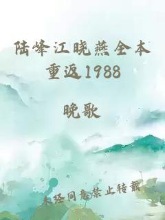 陆峰江晓燕全本重返1988