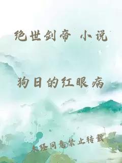 绝世剑帝 小说