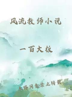 风流教师小说