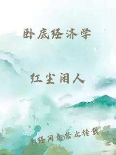 卧底经济学