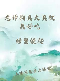 老师胸真大真软真好吃