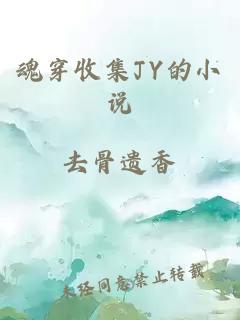 魂穿收集JY的小说