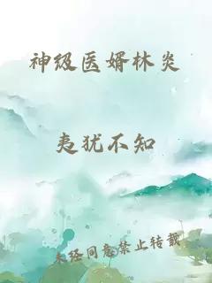 神级医婿林炎