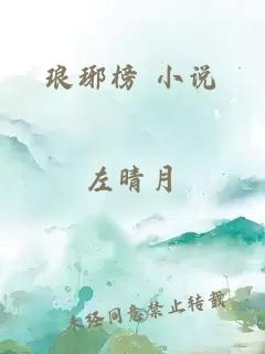 琅琊榜 小说