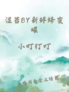 湿苔BY新鲜蜂蜜罐