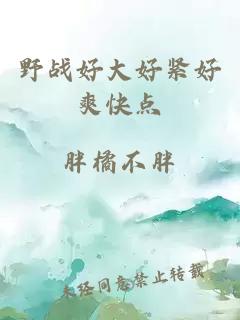 野战好大好紧好爽快点