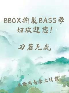 BBOX撕裂BASS孕妇欢迎您!