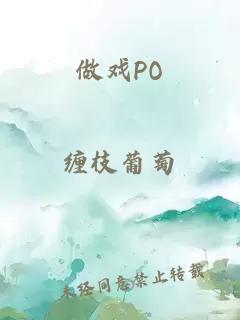 做戏PO