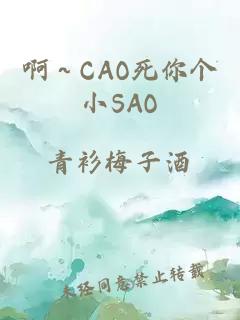 啊～CAO死你个小SAO