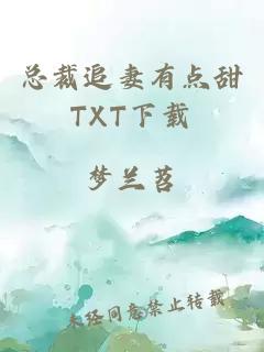 总裁追妻有点甜TXT下载