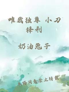 唯我独尊 小刀锋利