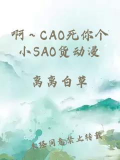 啊～CAO死你个小SAO货动漫