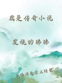 我是传奇小说